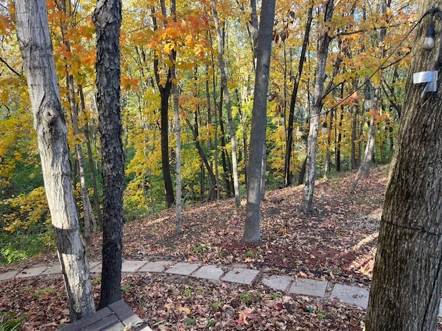 2795 East 28th Road Marseilles, IL 61341 - Photo 25 of 65