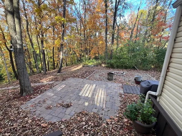 a view of backyard with green space
