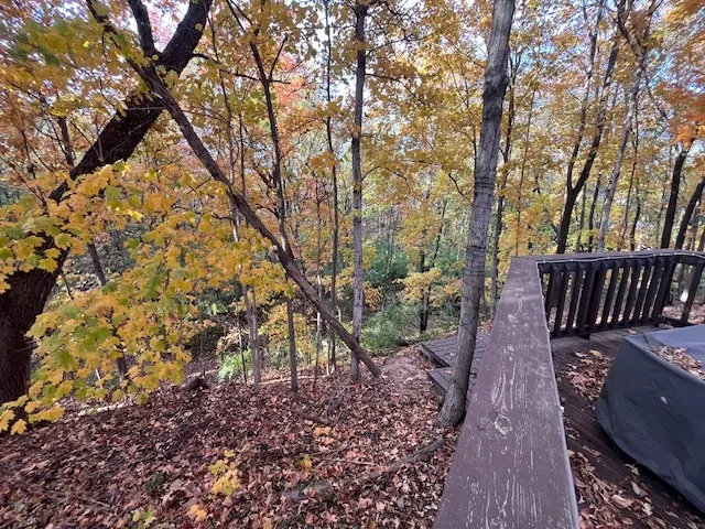 a view of a backyard with large trees