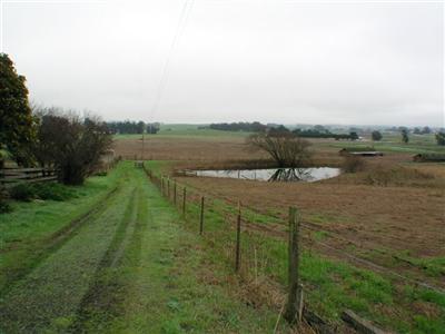 392 Fallon Road Petaluma, CA 94952 - Photo 1 of 8 a view of a lake with a yard