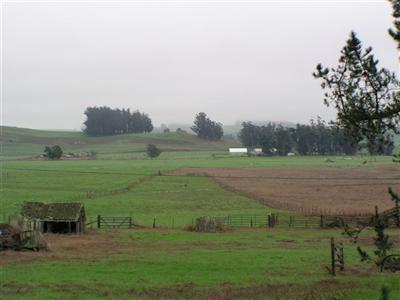 392 Fallon Road Petaluma, CA 94952 - Photo 2 of 8 a view of a golf course with a lake