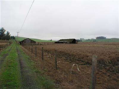 392 Fallon Road Petaluma, CA 94952 - Photo 5 of 8 a view of a lake with houses in the back
