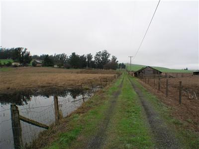 392 Fallon Road Petaluma, CA 94952 - Photo 6 of 8 a view of a lake with houses