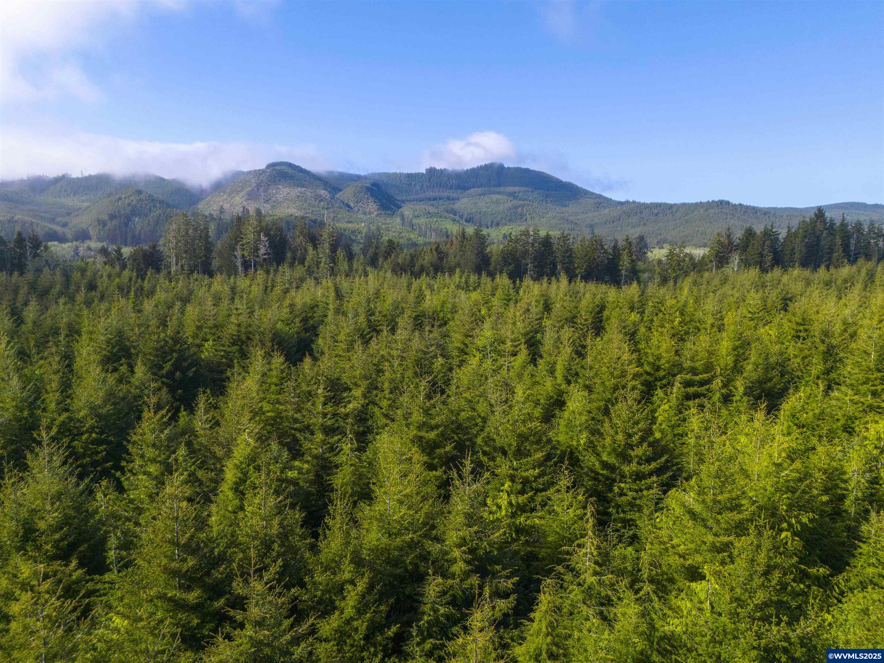 0 South Elmer Miller Road Lincoln City, OR 97367 - Photo 9 of 23