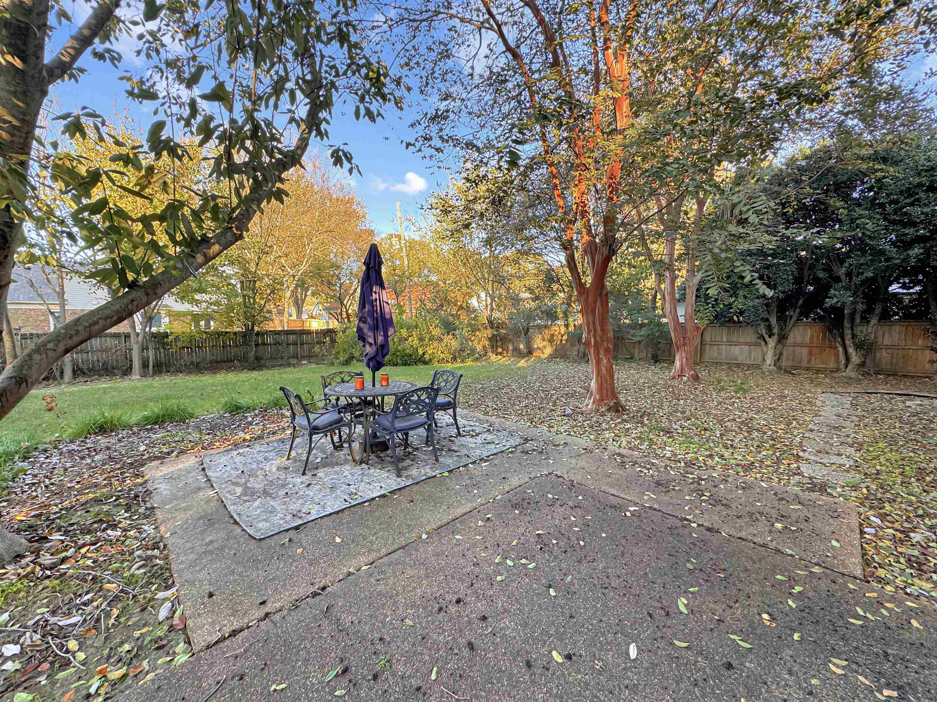 340 Scarlett's Way Collierville, TN 38017 - Photo 37 of 40 Fenced backyard with a patio area