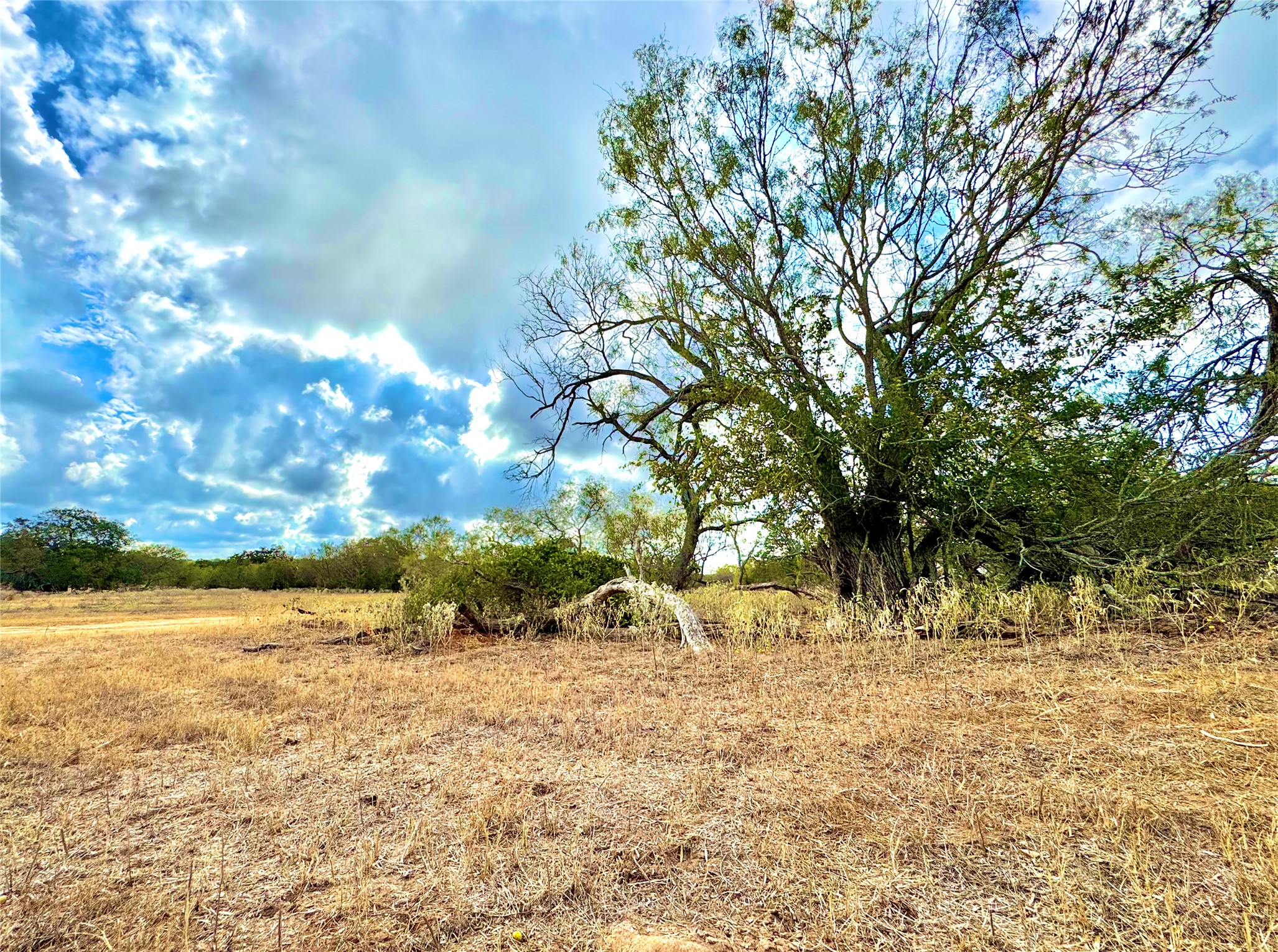6052 Tenney Creek Road Luling, TX 78648 - Photo 21 of 22 View of nature with rural landscape