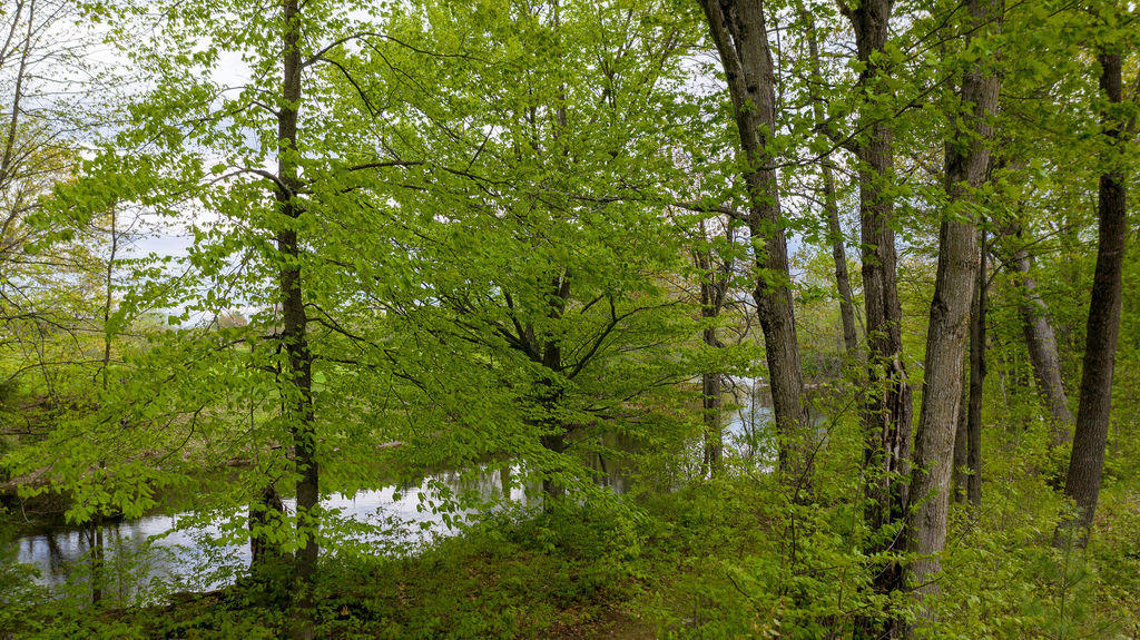 126 Cobb Road Turner, ME 04282 - Photo 45 of 48 Nezinscott River