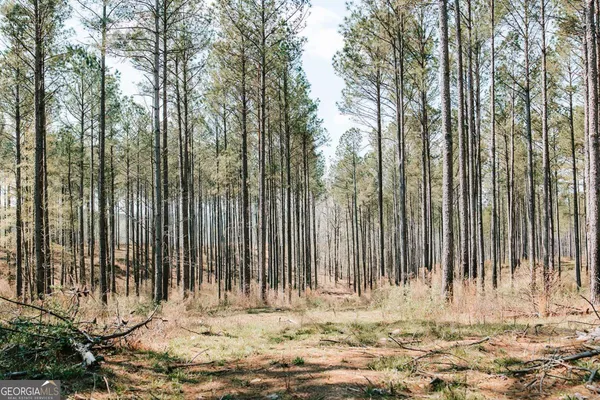 $605,000 | 0 Washington Road, Lexington, GA 30648