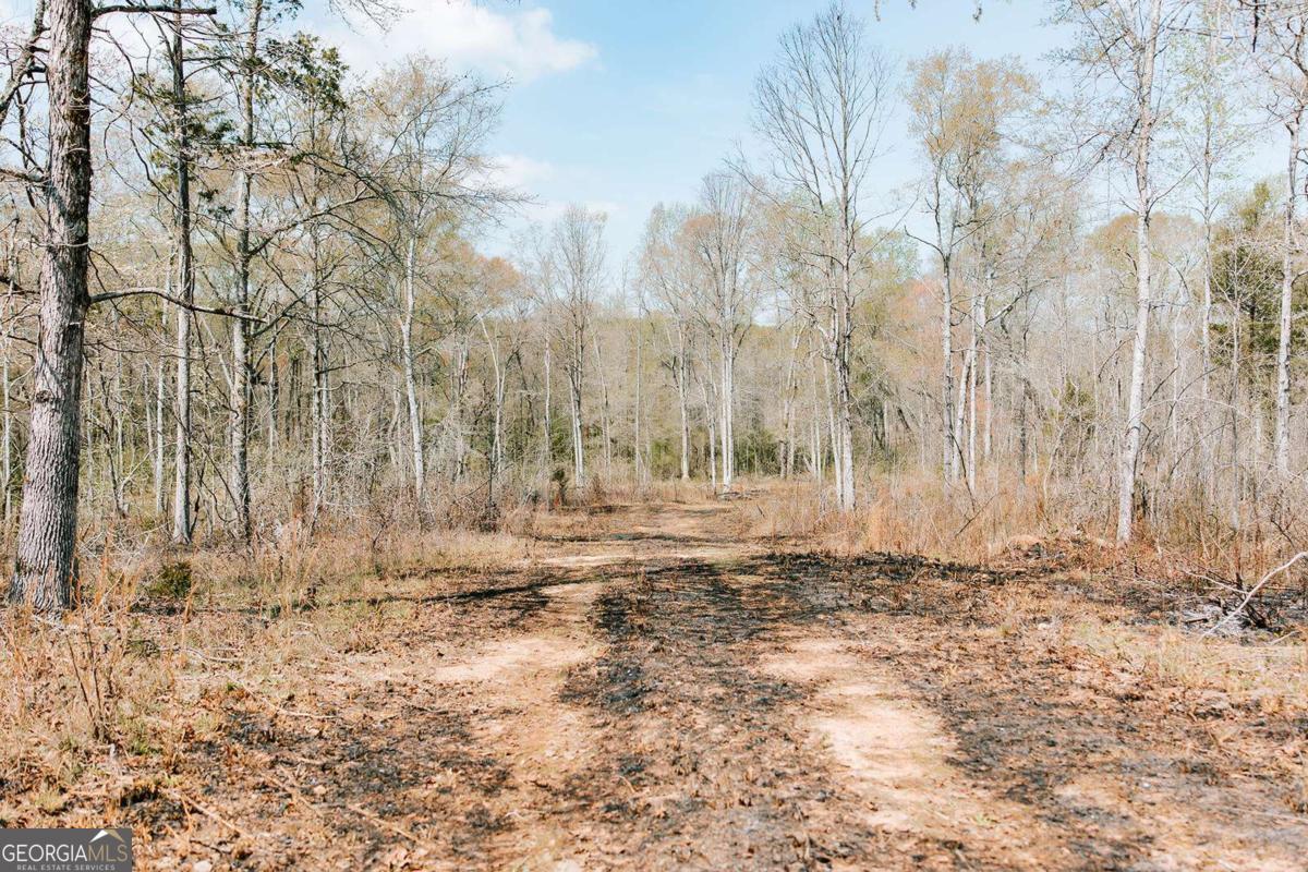 0 Washington Road Lexington, GA 30648 - Photo 16 of 30