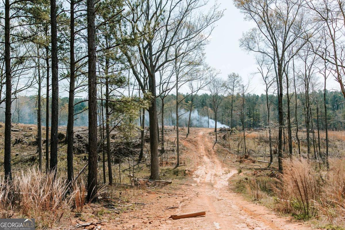 0 Washington Road Lexington, GA 30648 - Photo 5 of 30 a view of outdoor space with lots of trees