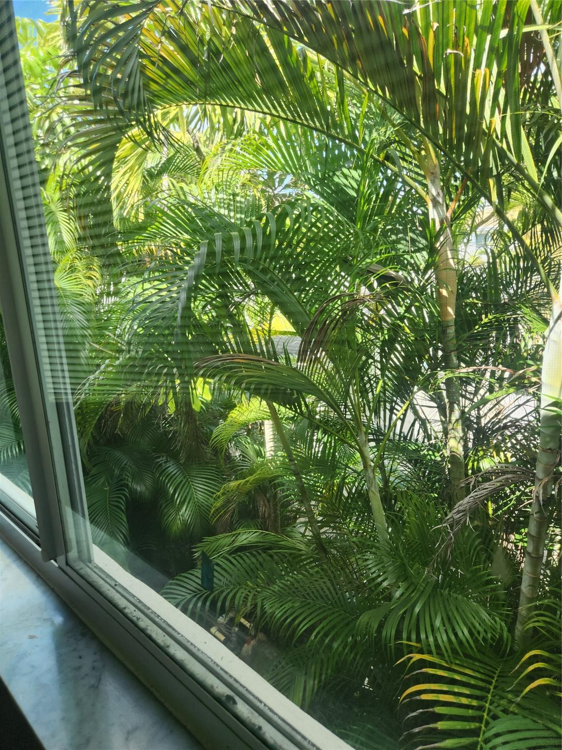 1320 Miami Road, Unit 8 Fort Lauderdale, FL 33316 - Photo 6 of 15 Photo 6