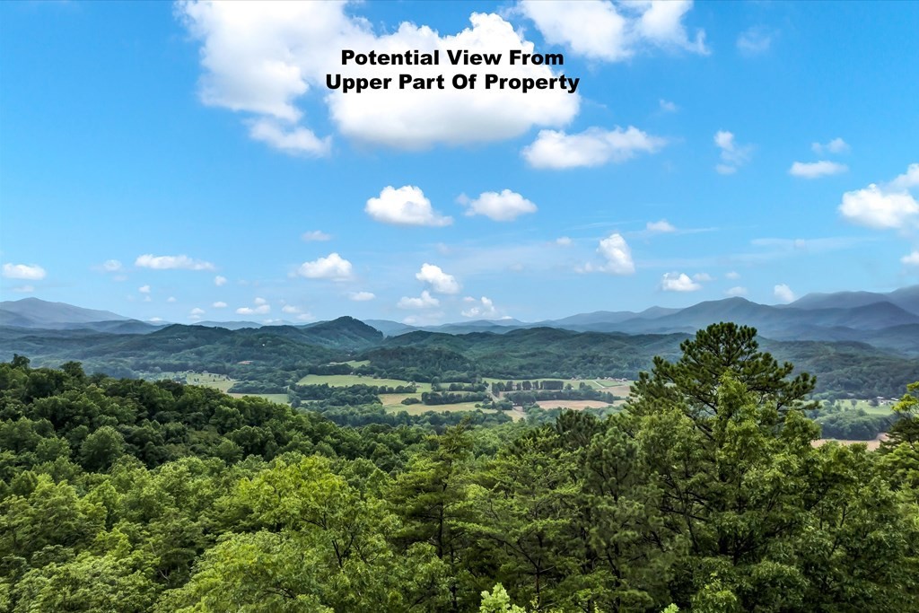 0 Green Forest Road Cosby, TN 37722 - Photo 7 of 35