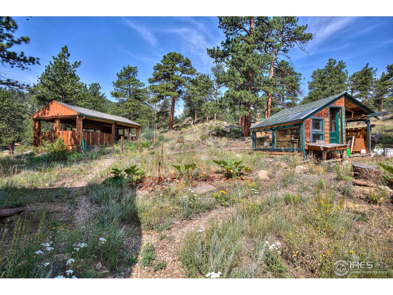2112 Eagle Cliff Road Estes Park, CO 80517 - Photo 6 of 30 a view of a house with a yard