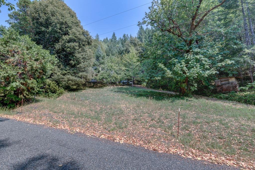 5645 Thompson Creek Road Selma, OR 97538 - Photo 6 of 9 Additional Photo