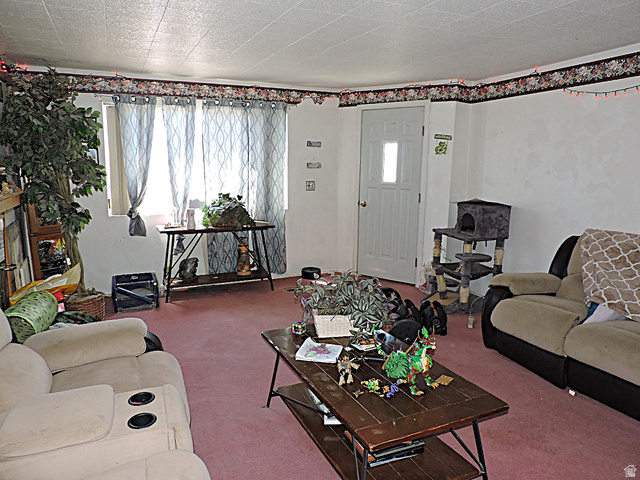 355 South Center Street Delta, UT 84624 - Photo 6 of 21 Carpeted interior space featuring white walls