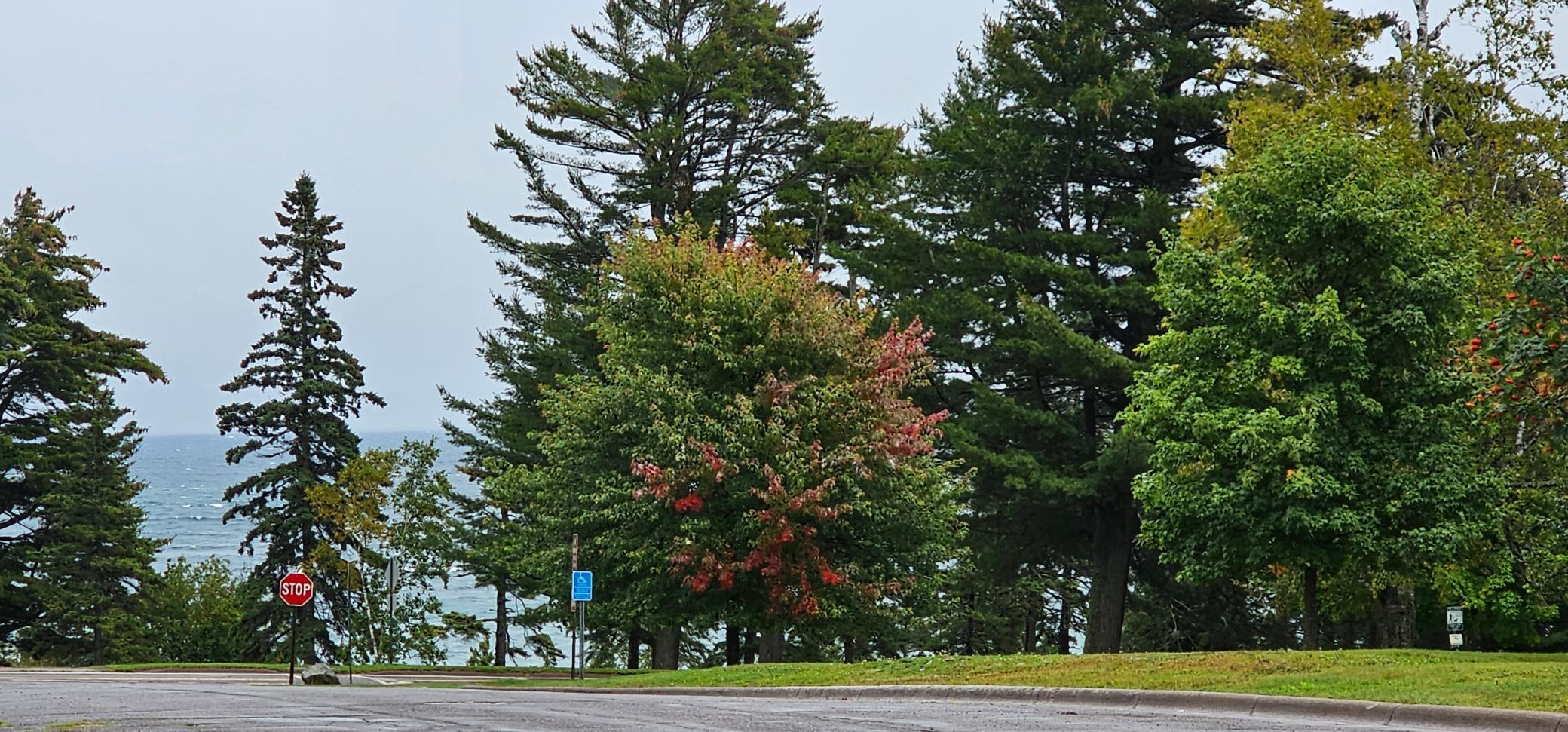 129 3rd Avenue Two Harbors, MN 55616 - Photo 4 of 35