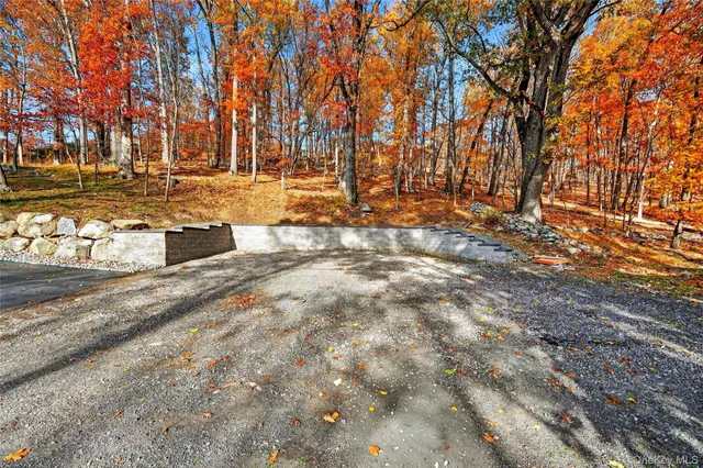 a view of a yard with trees