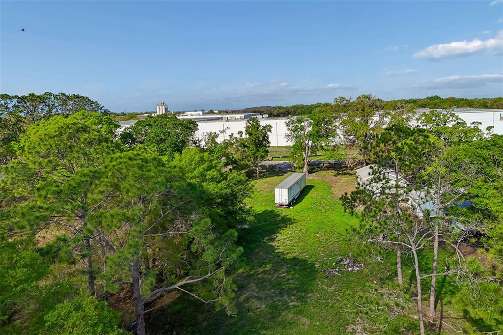 6213 Orient Road Tampa, FL 33610 - Photo 26 of 51 a view of a bunch of trees