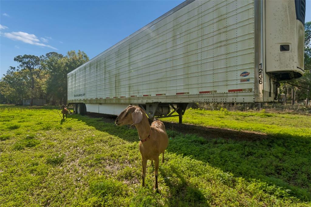 6213 Orient Road Tampa, FL 33610 - Photo 36 of 51 a view of a back yard