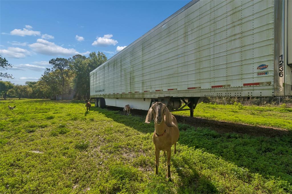 6213 Orient Road Tampa, FL 33610 - Photo 37 of 51 a view of a swimming pool with a yard