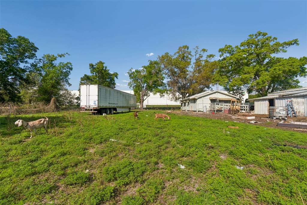 6213 Orient Road Tampa, FL 33610 - Photo 38 of 51 a white house with a big yard and large trees