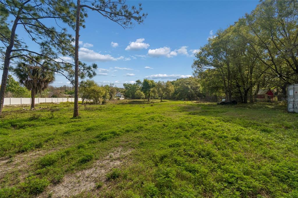 6213 Orient Road Tampa, FL 33610 - Photo 41 of 51 a view of a grassy field with trees