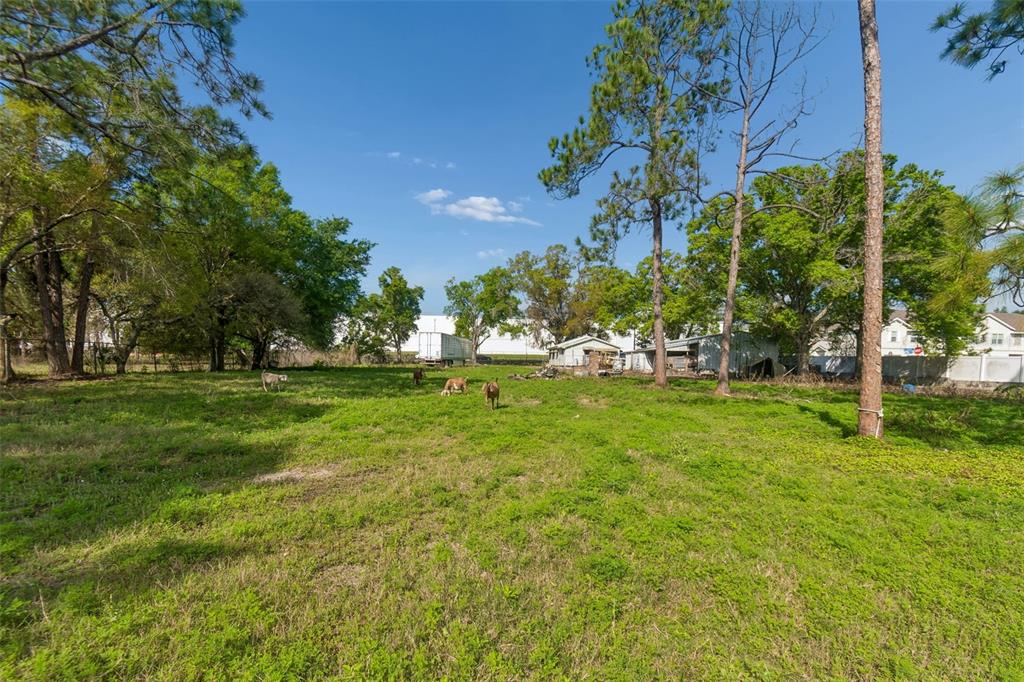 6213 Orient Road Tampa, FL 33610 - Photo 43 of 51 a view of park