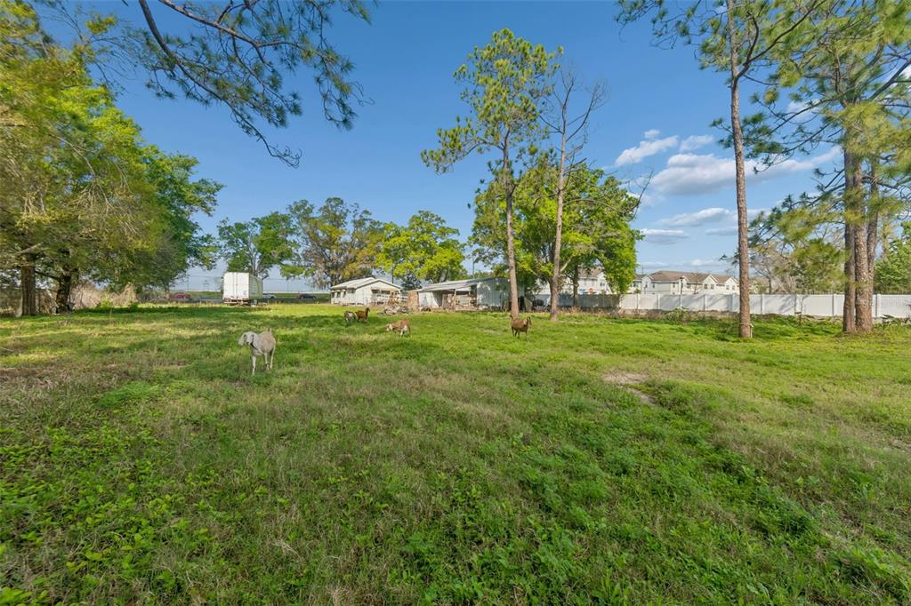 6213 Orient Road Tampa, FL 33610 - Photo 44 of 51 a view of a park with a tree