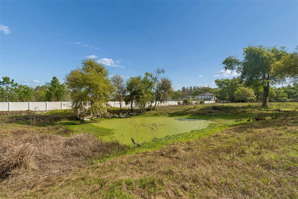 6213 Orient Road Tampa, FL 33610 - Photo 46 of 51 a view of a yard with an trees