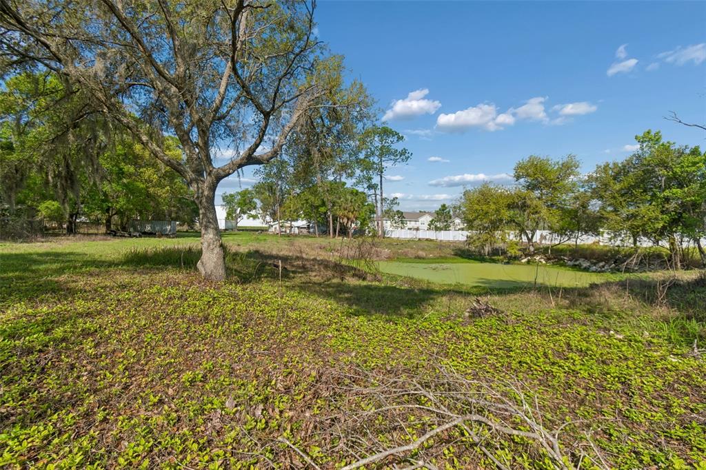 6213 Orient Road Tampa, FL 33610 - Photo 47 of 51 a view of a lake view