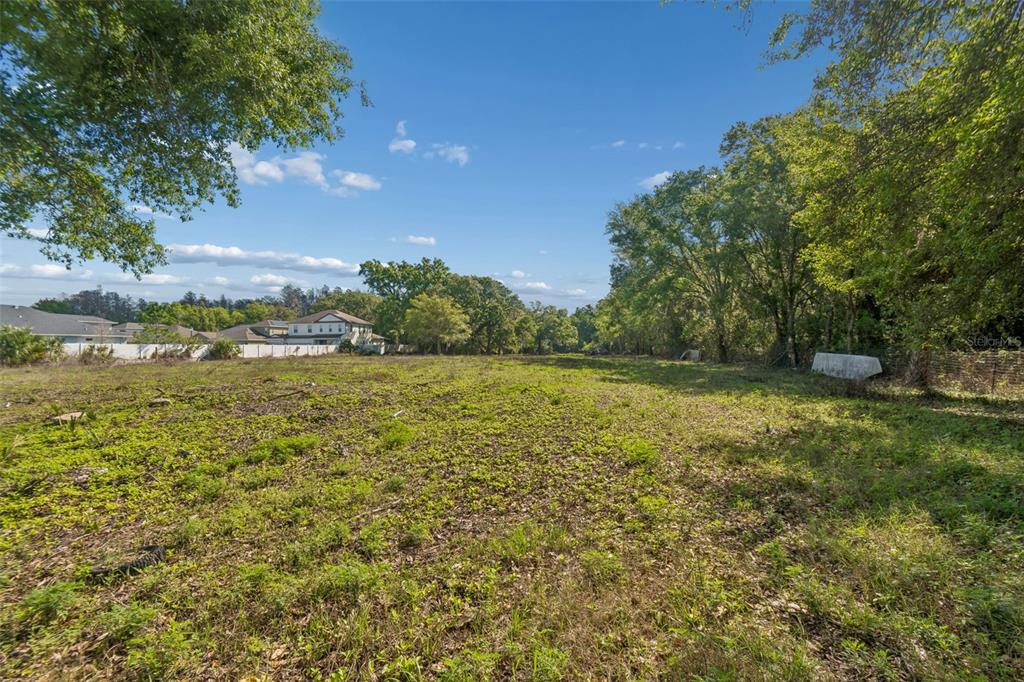 6213 Orient Road Tampa, FL 33610 - Photo 48 of 51 a view of a yard with a tree