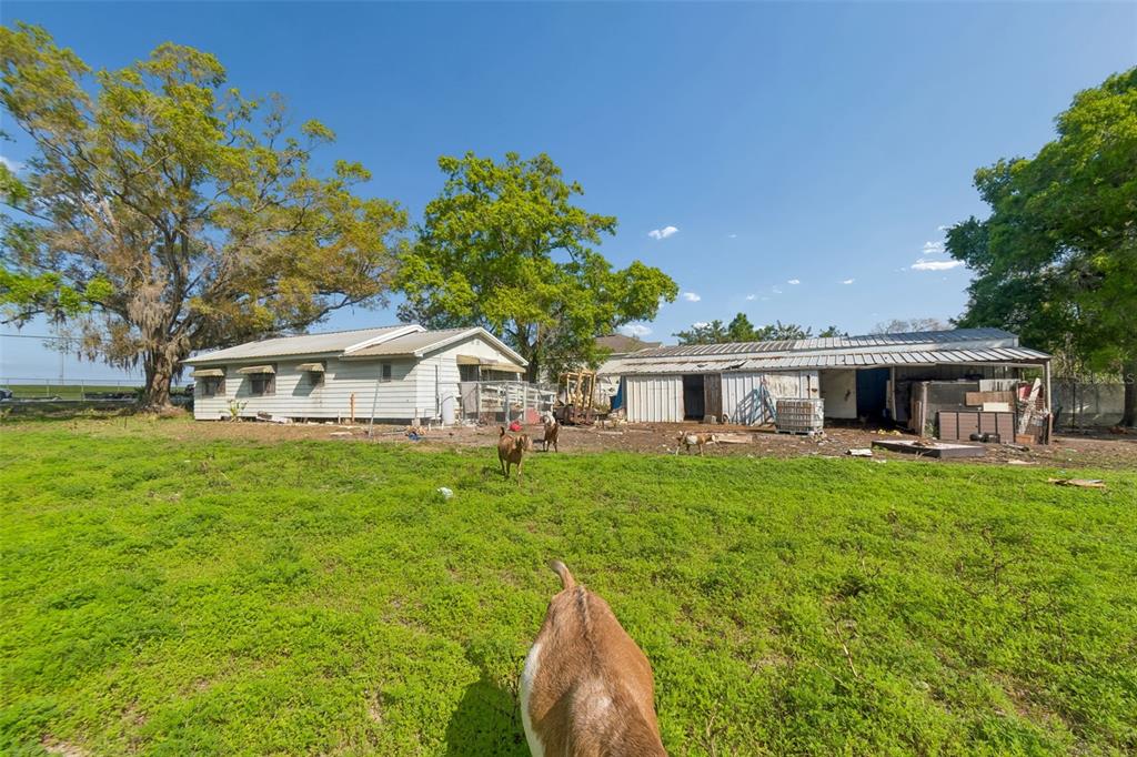 6213 Orient Road Tampa, FL 33610 - Photo 49 of 51 a front view of a house with garden