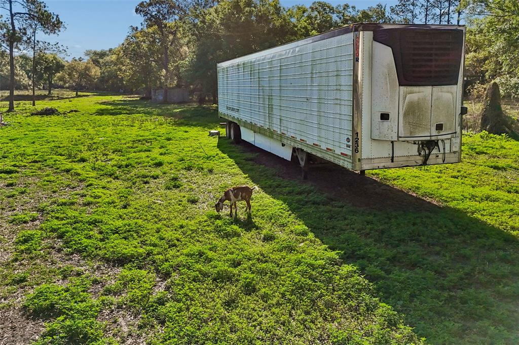 6213 Orient Road Tampa, FL 33610 - Photo 51 of 51 a view of a back yard of the house