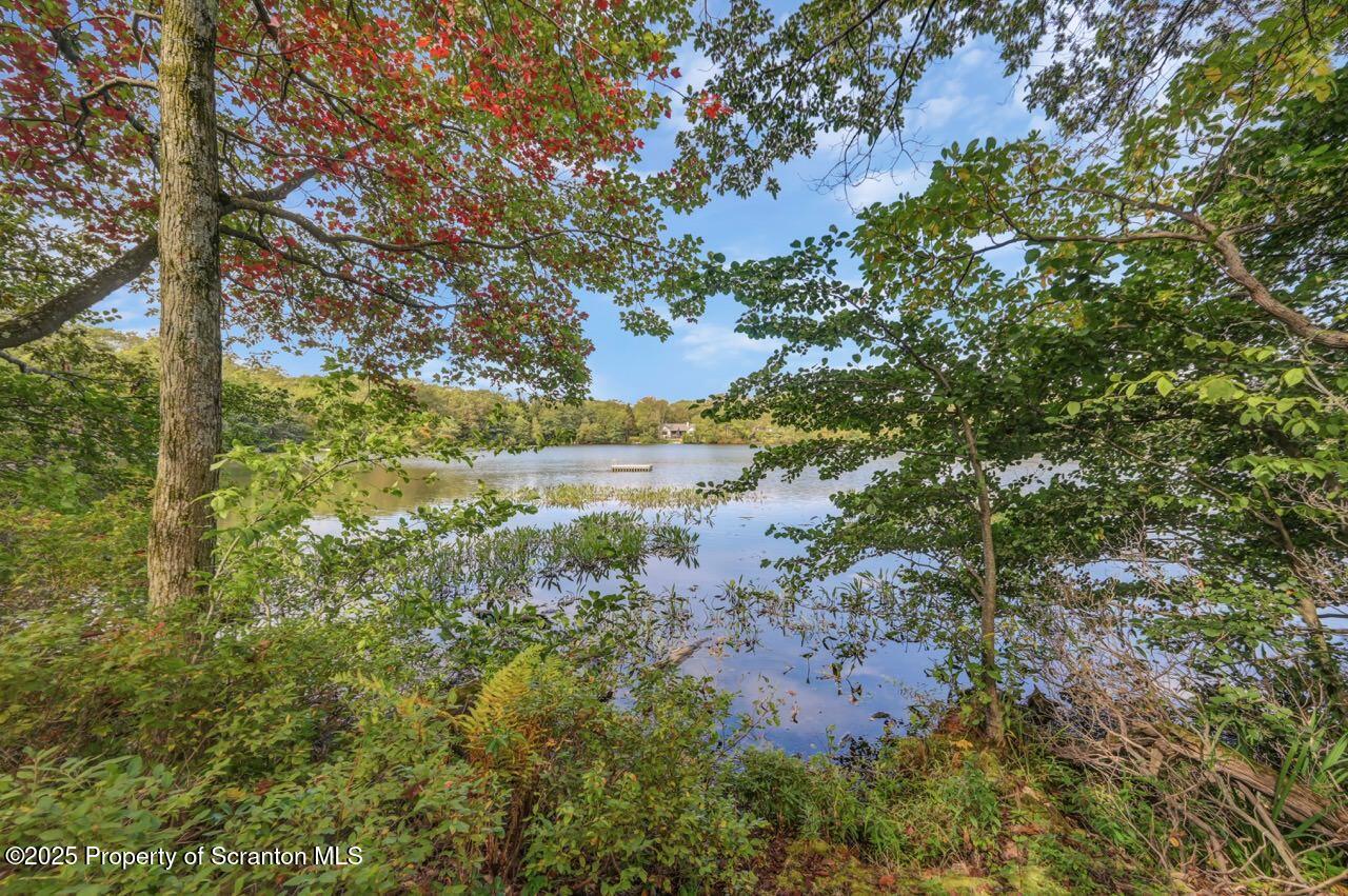 50 Little Lake Road Lake Ariel, PA 18436 - Photo 73 of 73 a view of a lake with large trees