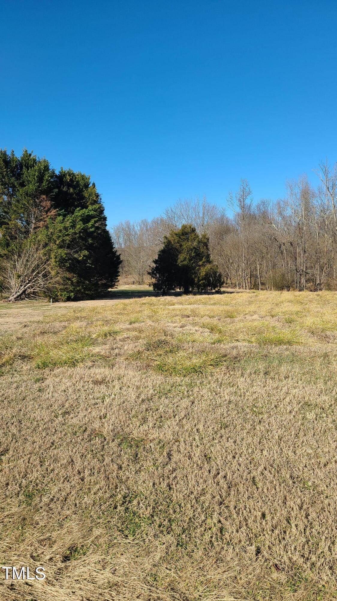 Lot 2 Wood Meadows Road Staley, NC 27355 - Photo 8 of 16 20240111_142849