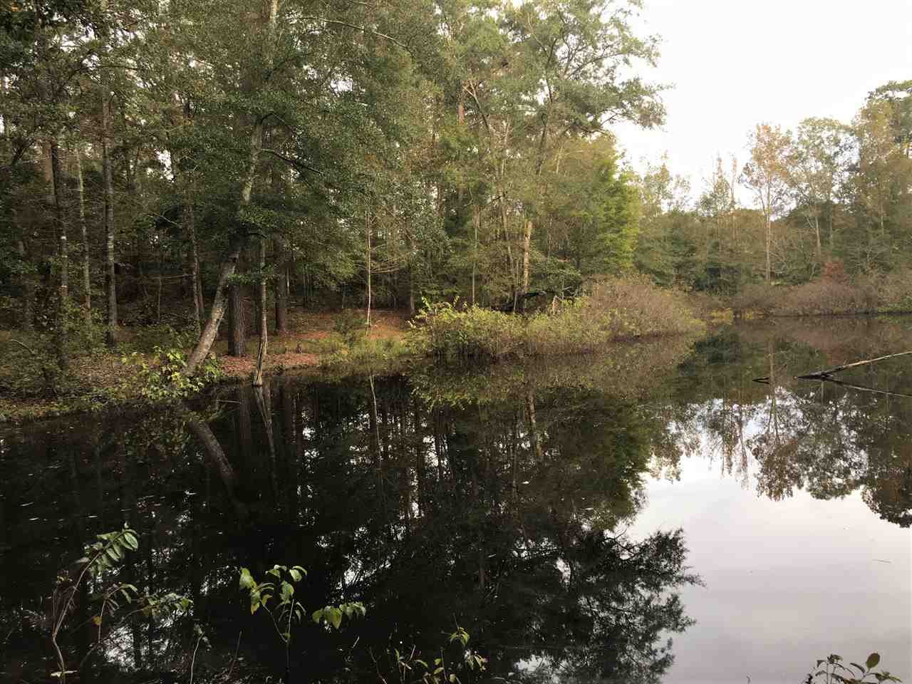 452 Gulde Shiloh Road Brandon, MS 39042 - Photo 38 of 44 Photo 38