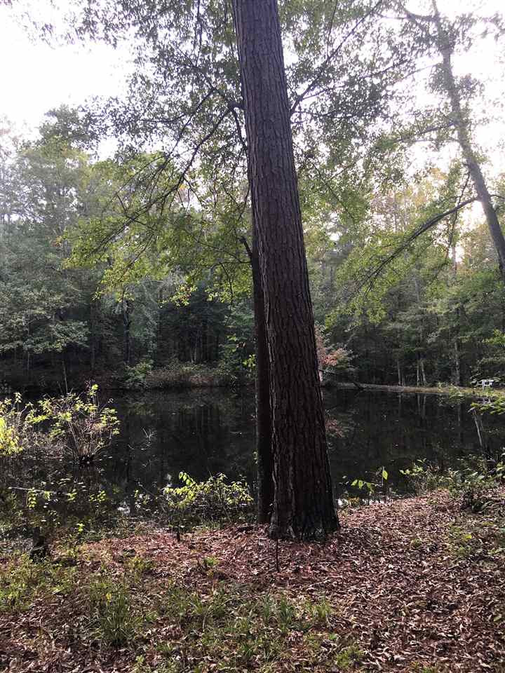452 Gulde Shiloh Road Brandon, MS 39042 - Photo 39 of 44 Photo 39