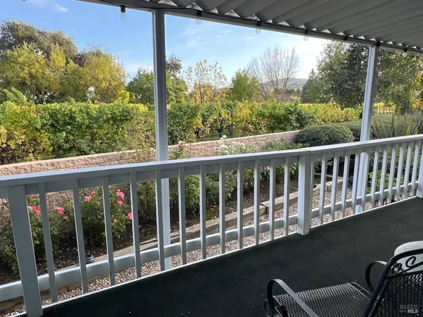 a view of a backyard with plants and a garden