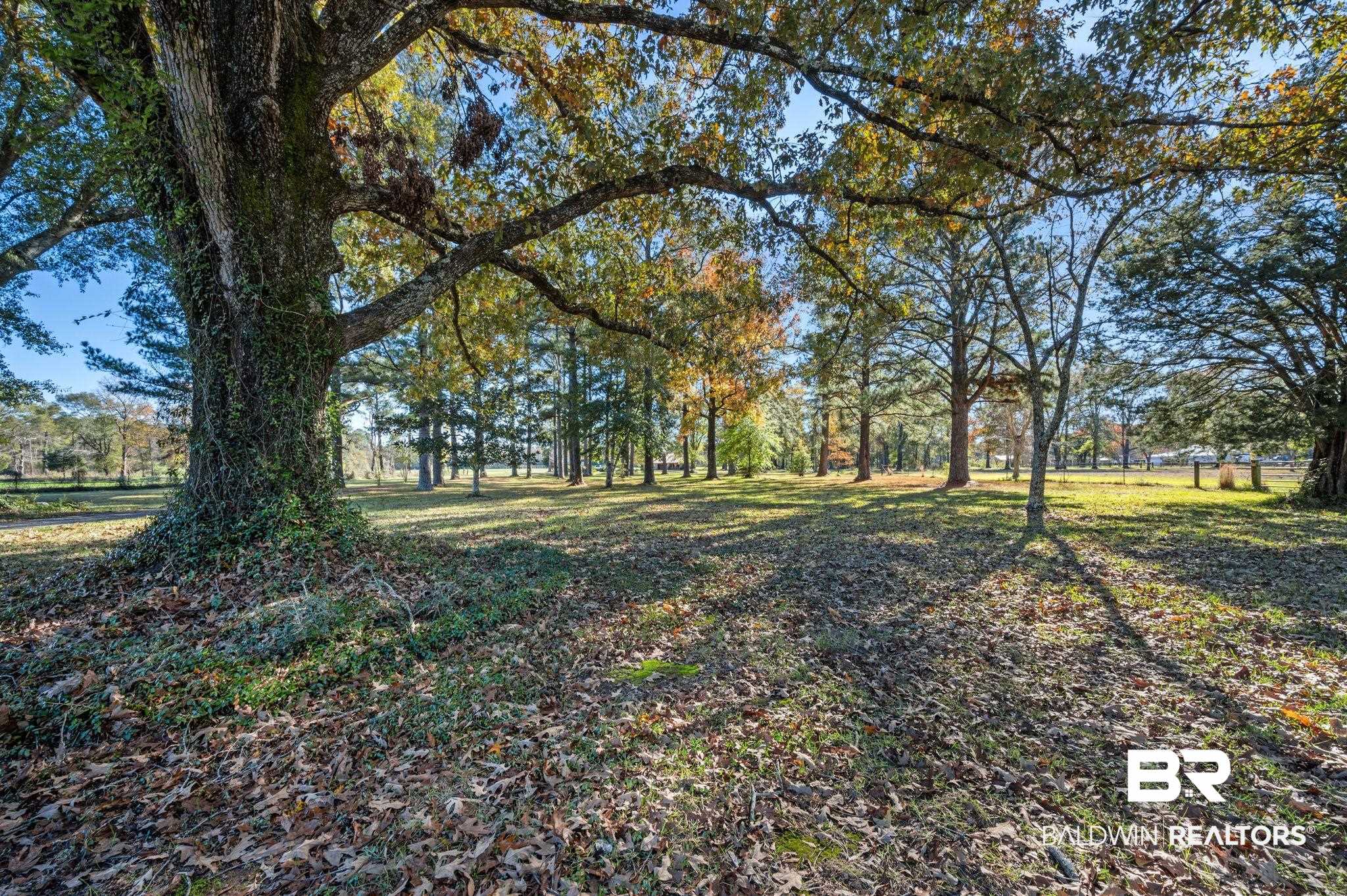 15801 Maytower Road Bay Minette, AL 36507 - Photo 40 of 43 View of yard