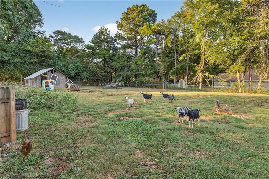 1943 Rome Road Southwest Calhoun, GA 30701 - Photo 48 of 54