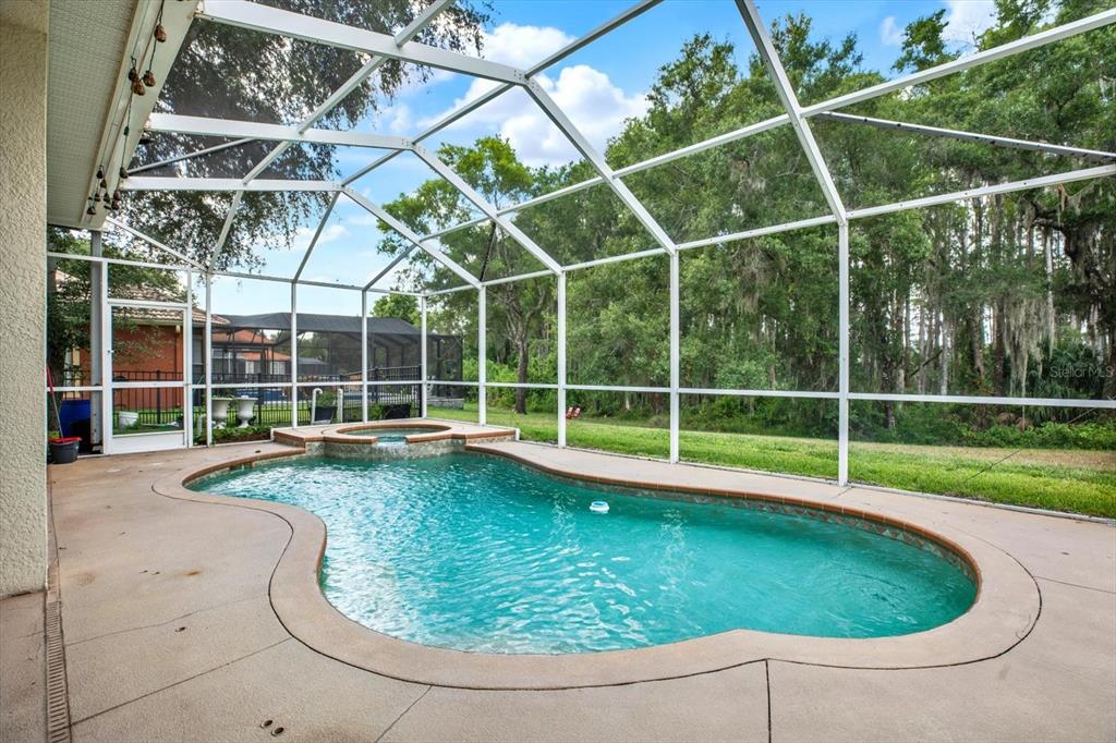 9137 Creedmoor Lane New Port Richey, FL 34654 - Photo 40 of 62
