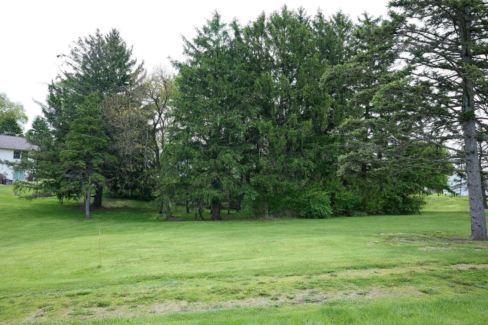 0 South Sycamore Street Cedar Point, IL 61316 - Photo 9 of 9