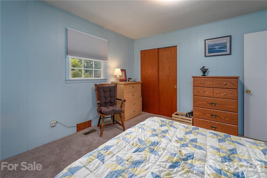387 Connestee Road Brevard, NC 28712 - Photo 35 of 48 Gallery Image 35