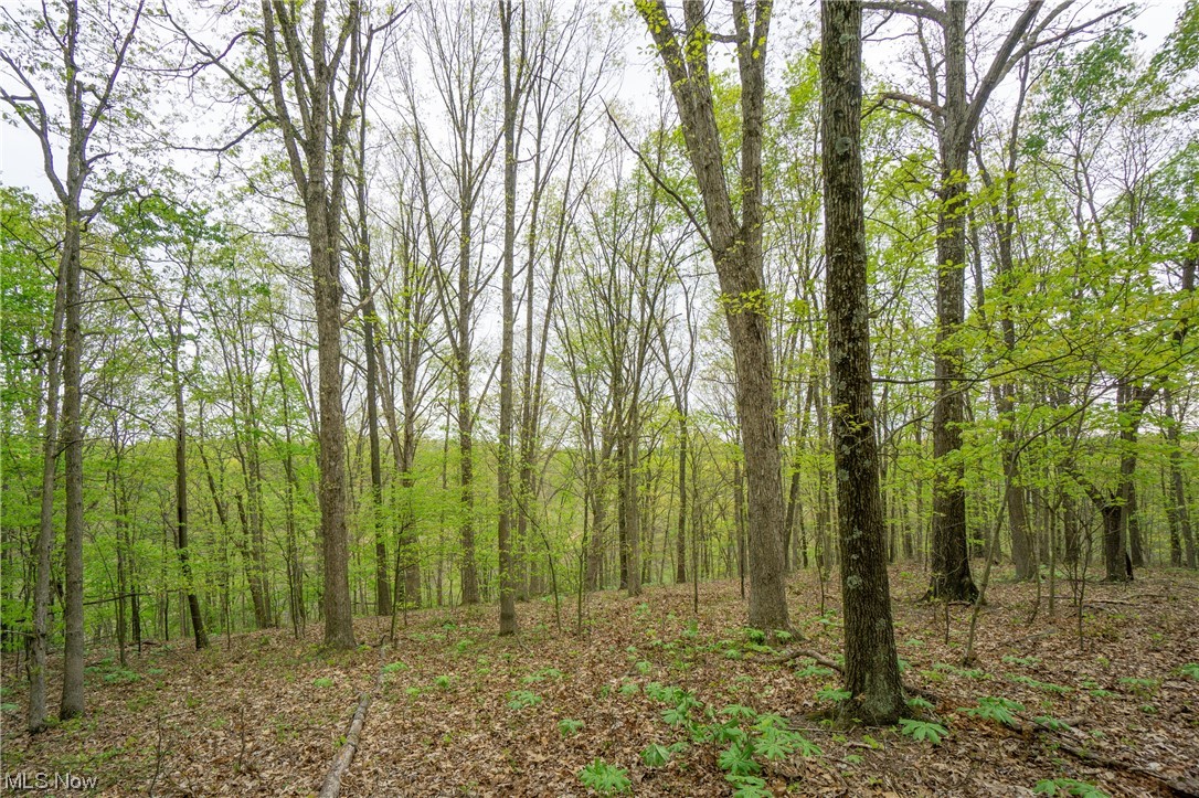 Palmer Road Kimbolton, OH 43749 - Photo 21 of 26 Gallery Image 21