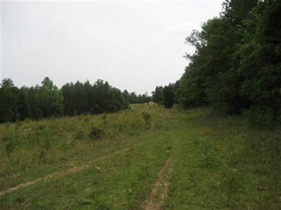 1111 Puckett Road Lawrenceburg, KY 40342 - Photo 21 of 32 Photo 21