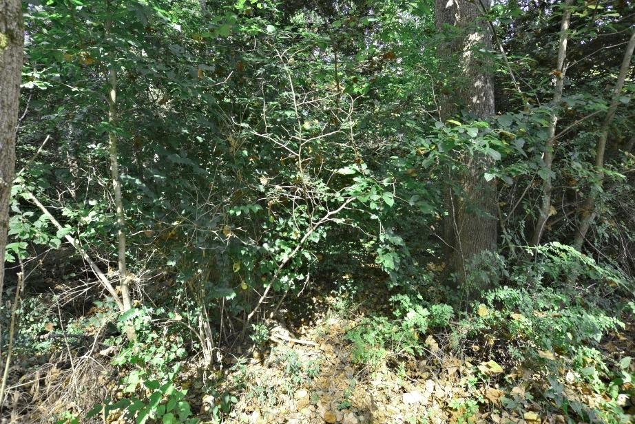3-4 Laurel Springs Road Newport, TN 37821 - Photo 6 of 11 H
