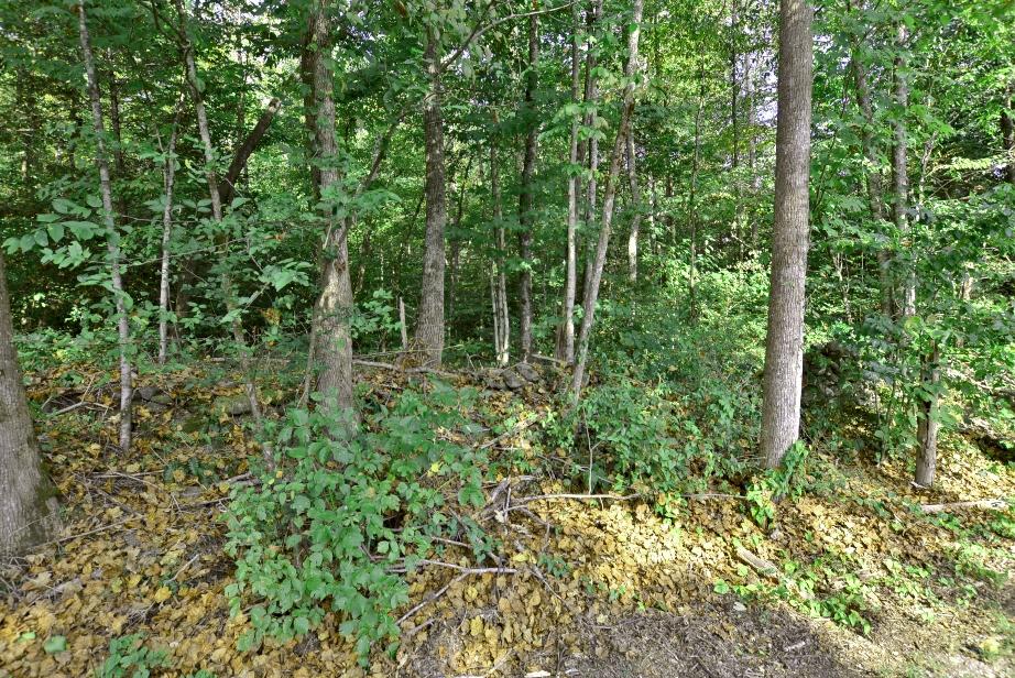 3-4 Laurel Springs Road Newport, TN 37821 - Photo 8 of 11 A