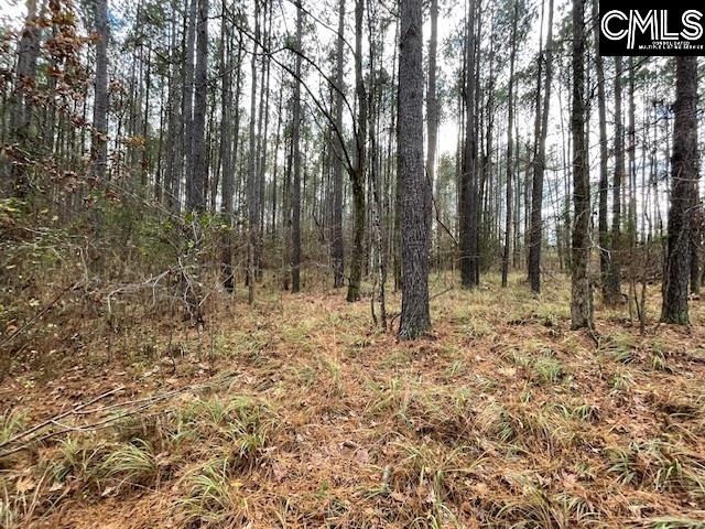 Lot 104 Pineland Road Chappells, SC 29037 - Photo 13 of 25