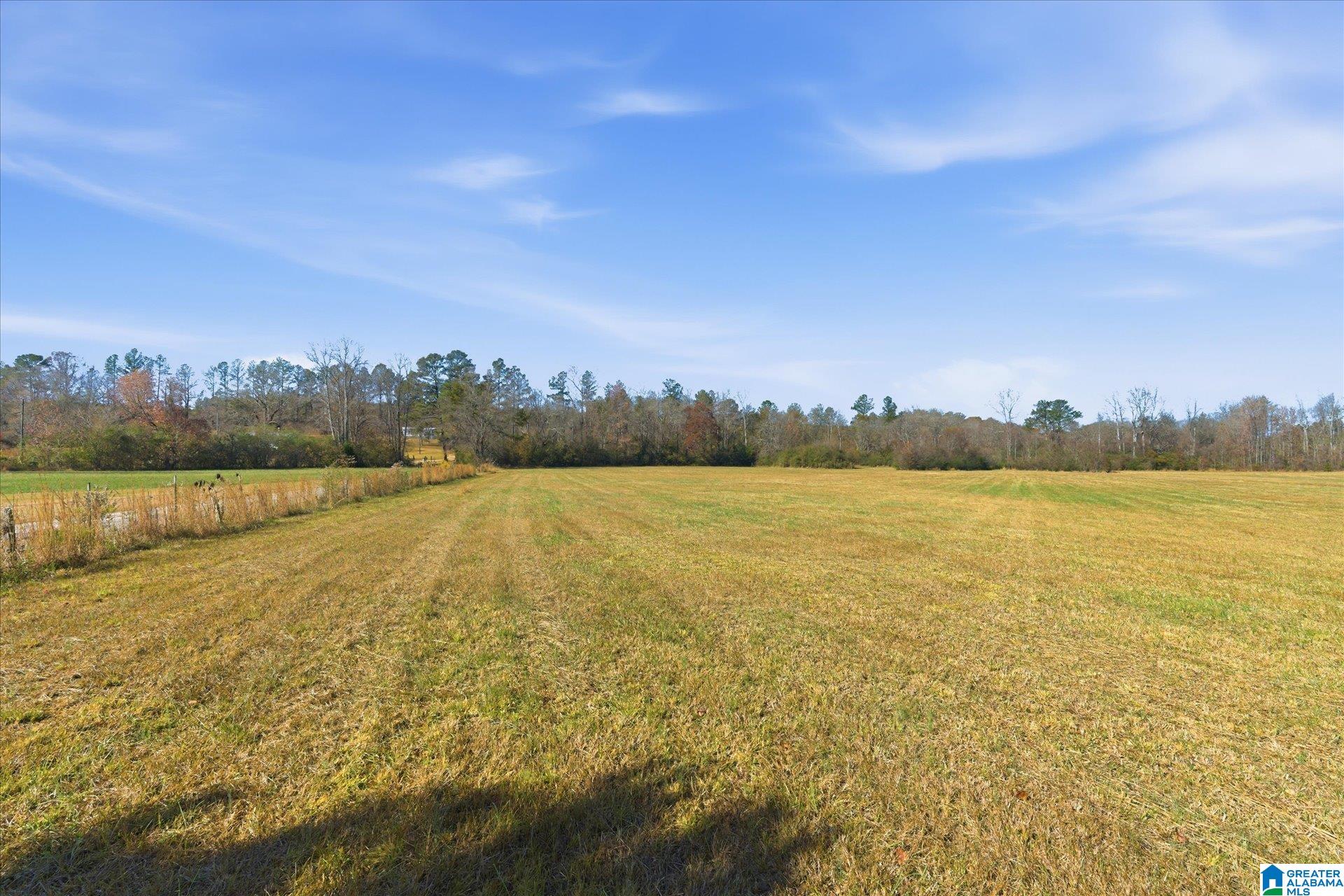 0 County Road 84 Heflin, AL 36264 - Photo 14 of 20