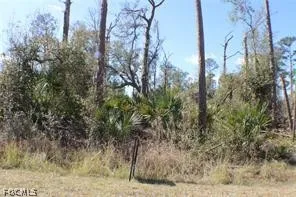 a view of a yard